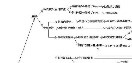 手術侵襲と生体反応関連図